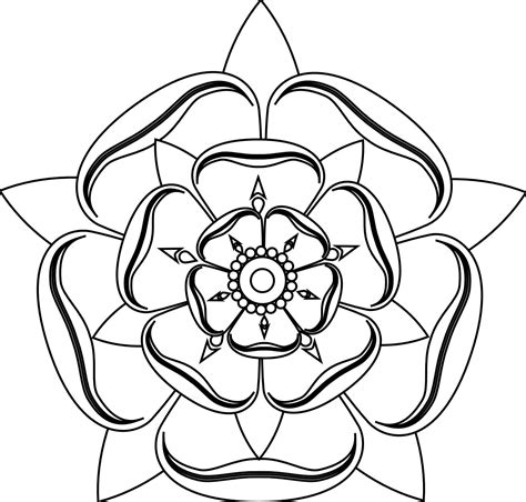 tudor rose colour|tudor rose drawing.